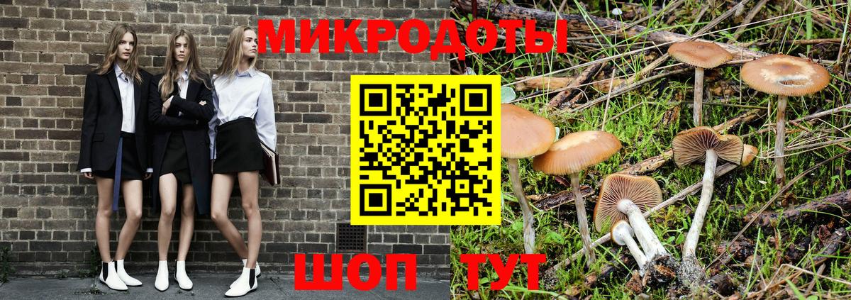 Петровск  Псилоцибиновые грибы мицелий  Псилоцибиновые грибы мицелий  Вход с VPN 